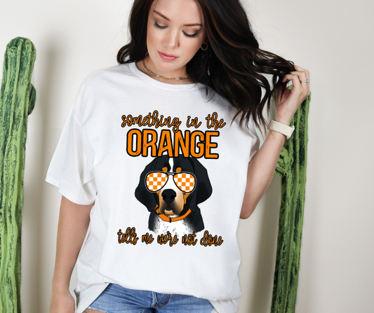 Something in the Orange Vols DTF Transfer 06013