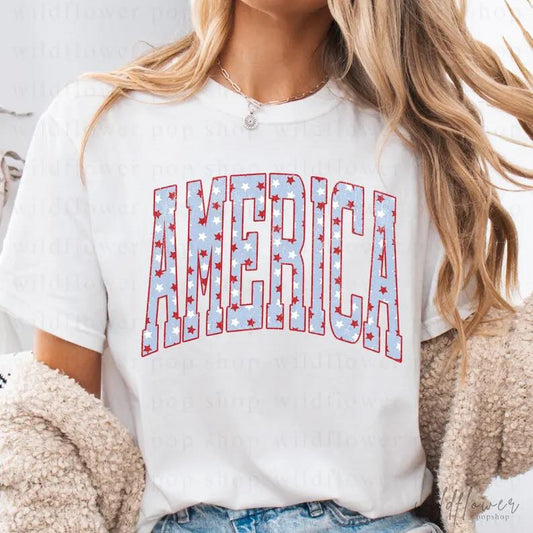 America Curved Varsity 08196