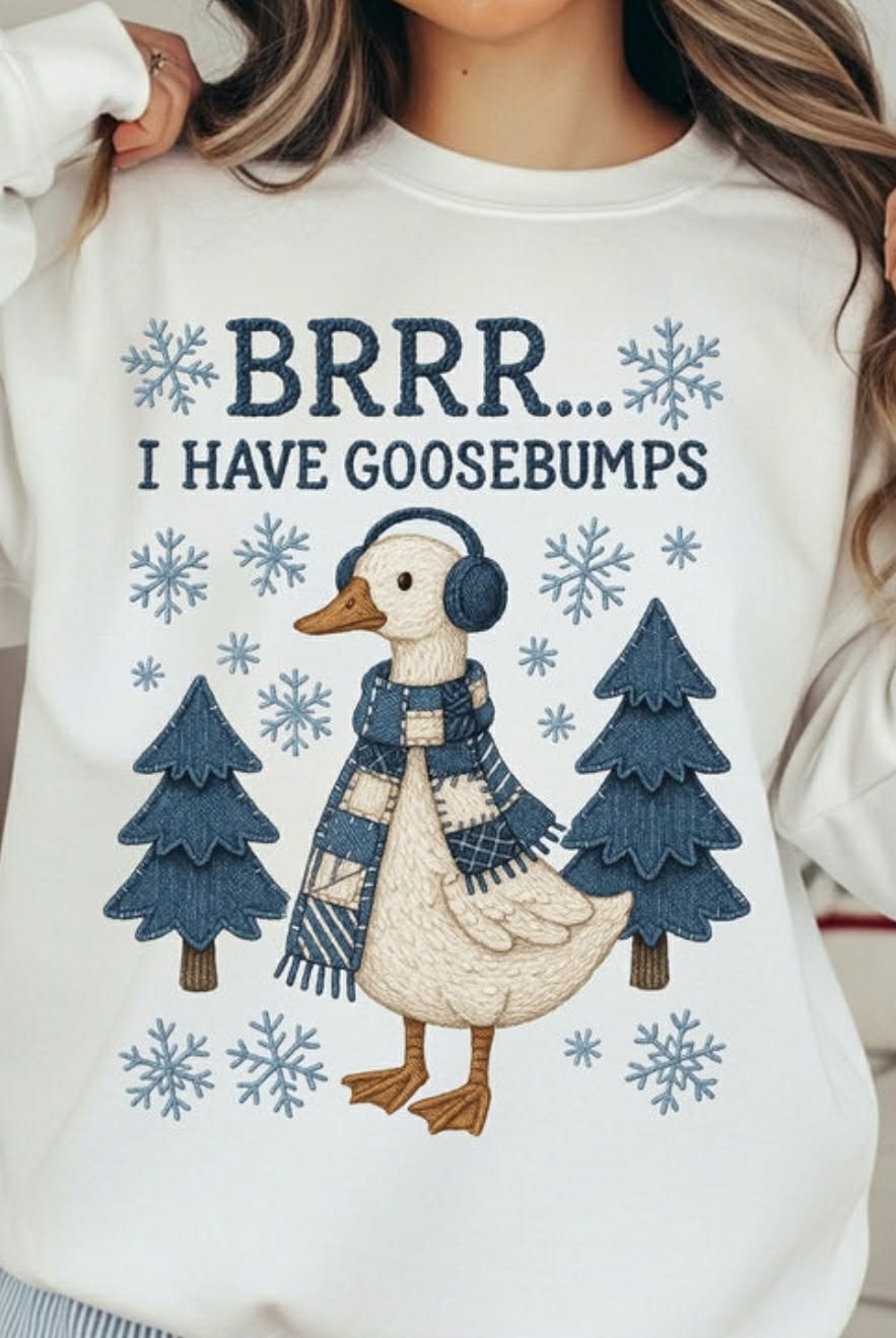 Brrr I Have Goosebumps 07656