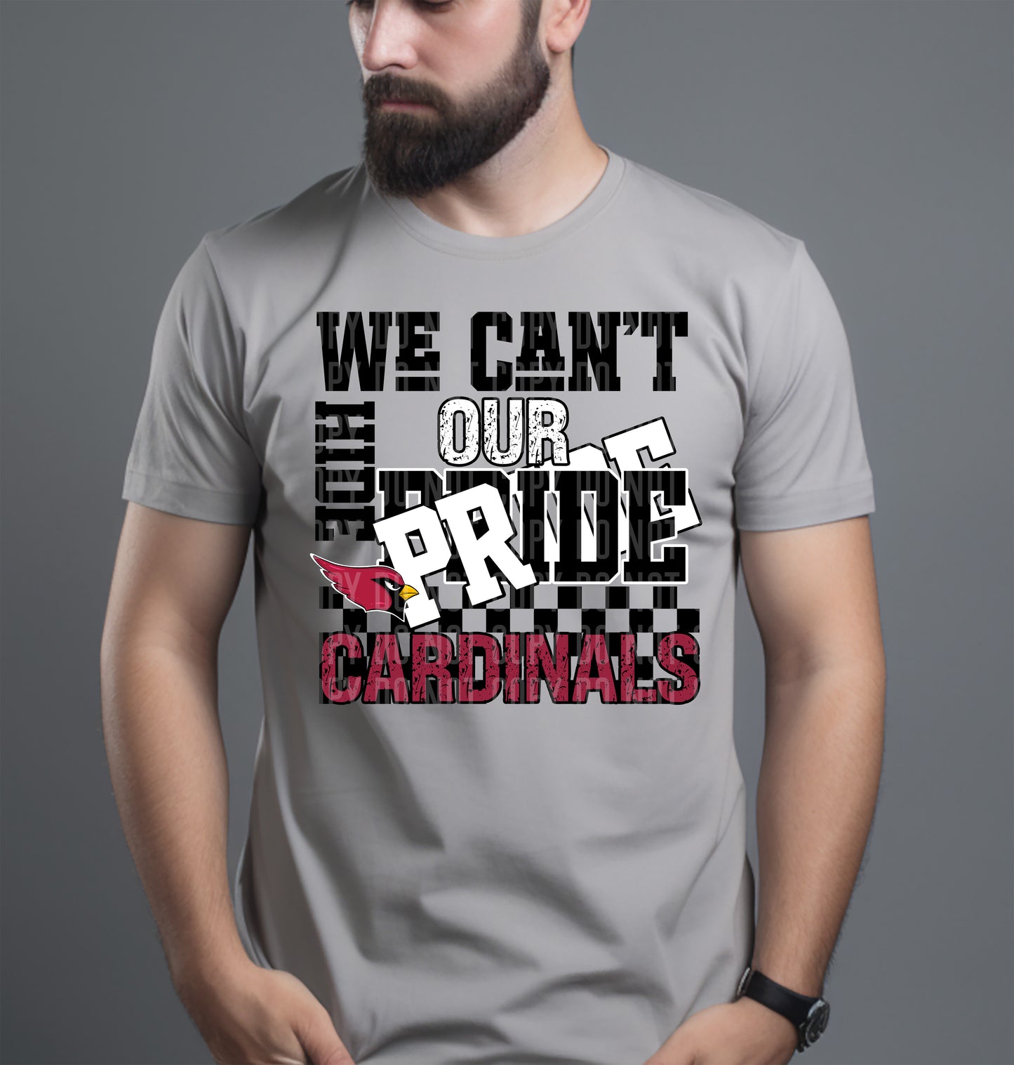 Pro Football Teams Can't Hide Our Pride (Choose Yours) 00283
