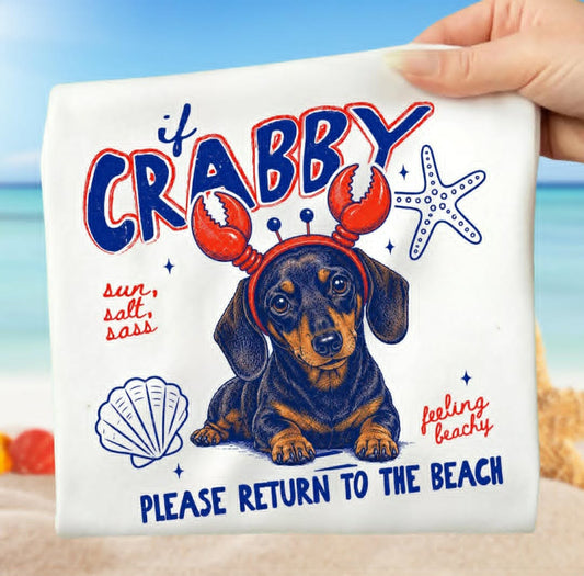 Dachshund If Crabby Return to Beach 08333
