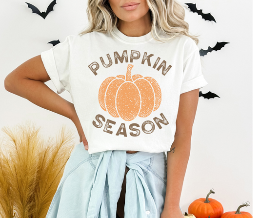Pumpkin Season DTF Transfer 06040