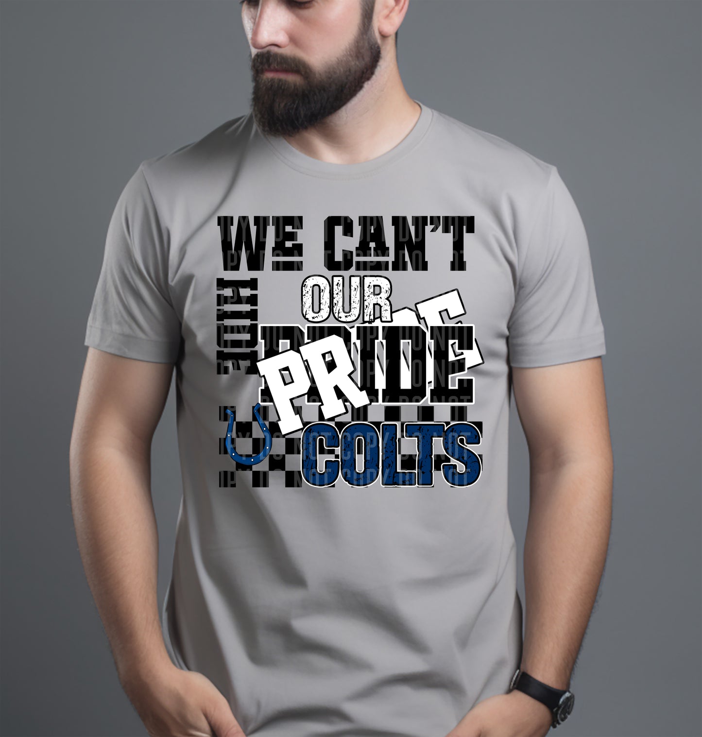 Pro Football Teams Can't Hide Our Pride (Choose Yours) 00283