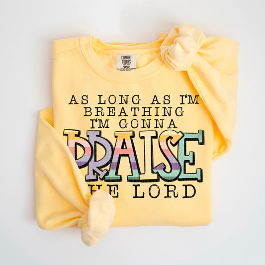 Praise The Lord 04338