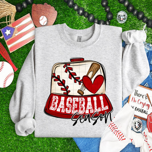 Baseball Season 07529
