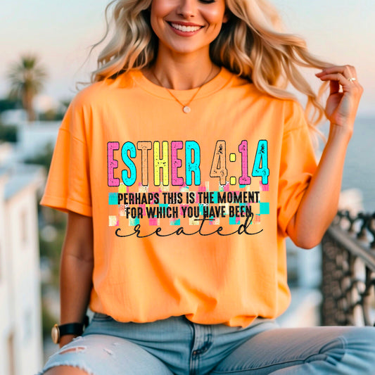 Esther 4:14 01971