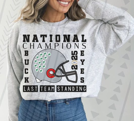 Ohio State Buckeyes Champions Helmet 03639