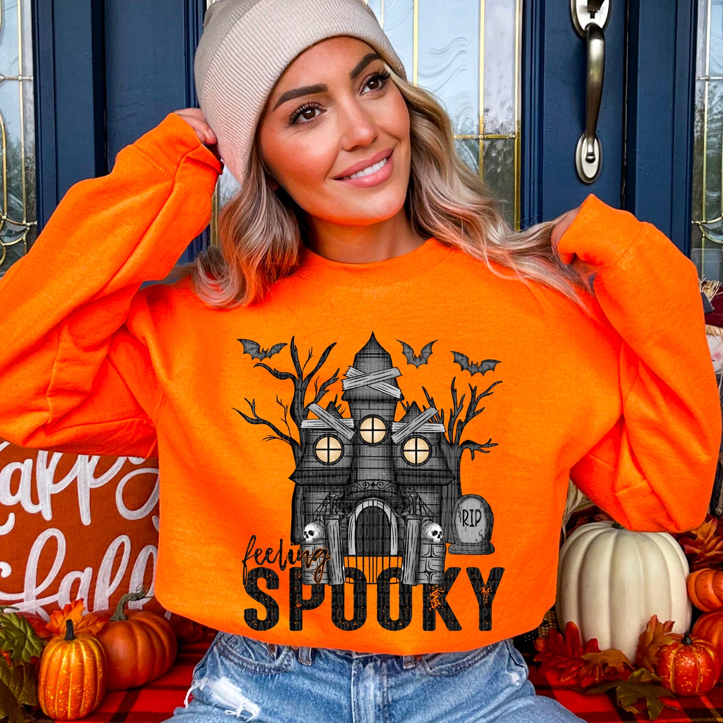 Feeling Spooky Haunted House 00690