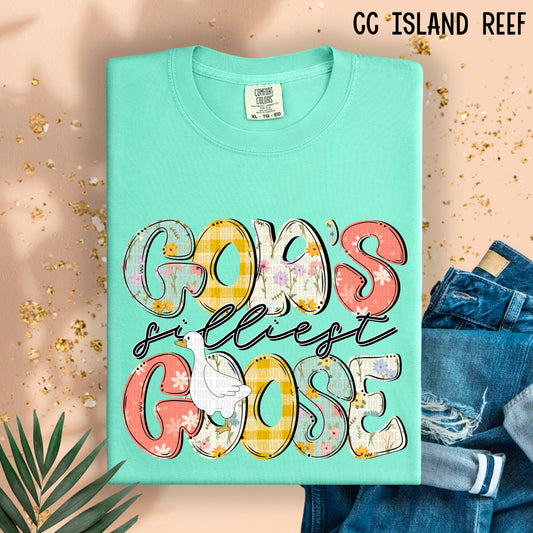 God's Silliest Goose 01966