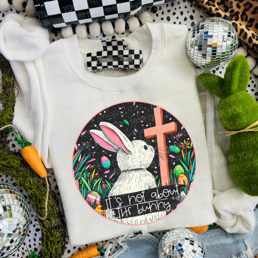 Its Not About The Bunny 02682