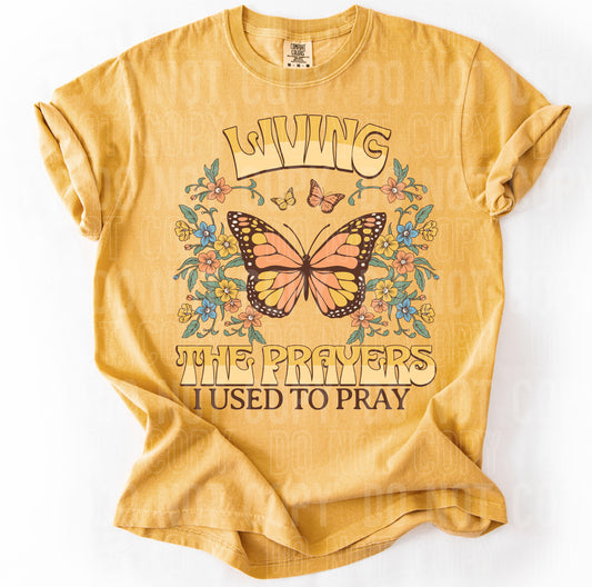 Living The Prayers I Used To Pray 02898