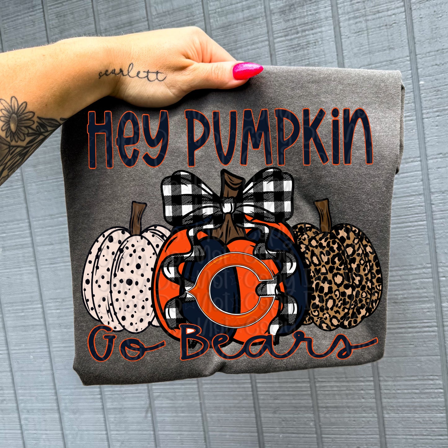 Pro Football Team Hey Pumpkin (Choose Yours) 00751