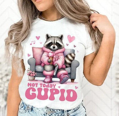 Not Today Cupid 04047