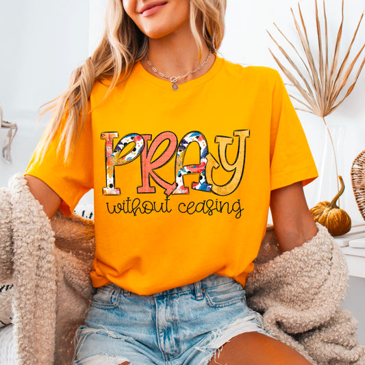Pray Without Ceasing 02746