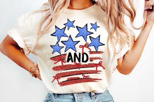 Stars and Stripes 02389