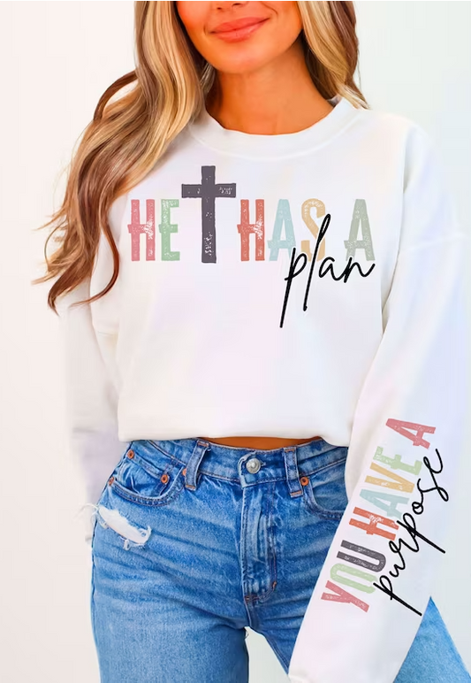 He Has a Plan WITH SLEEVE DTF Transfer 05294