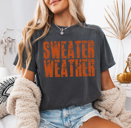 Distressed Sweater Weather 00941