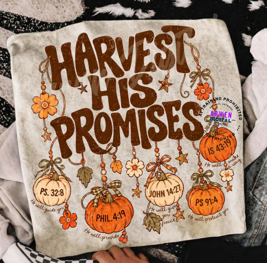 Harvest His Promises 09555