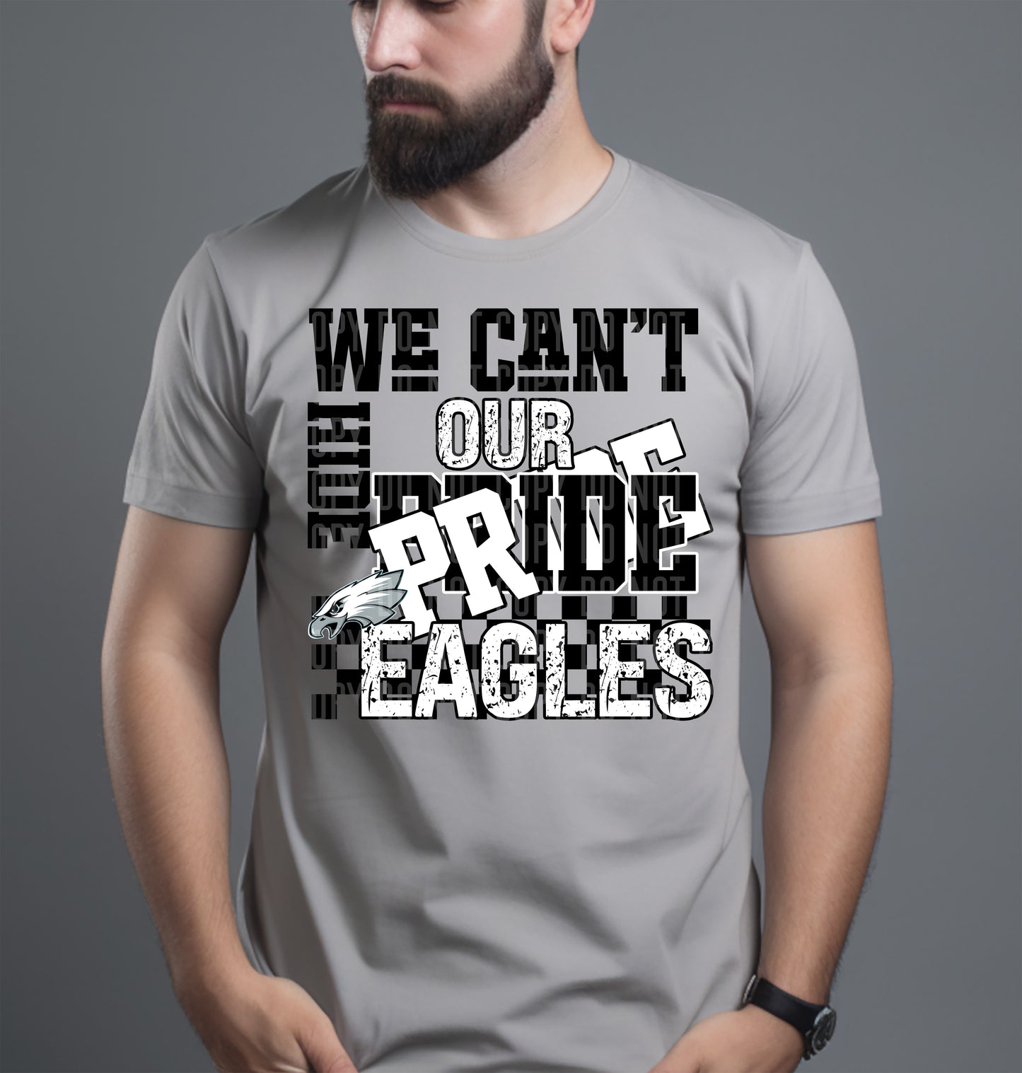 Pro Football Teams Can't Hide Our Pride (Choose Yours) 00283
