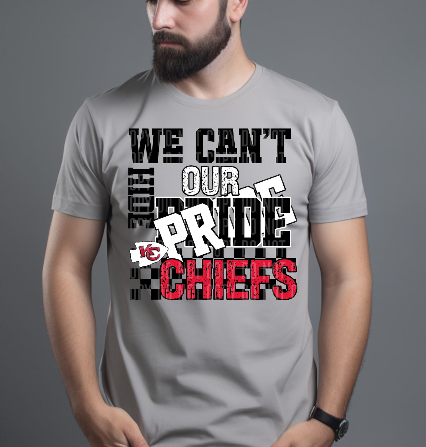 Pro Football Teams Can't Hide Our Pride (Choose Yours) 00283
