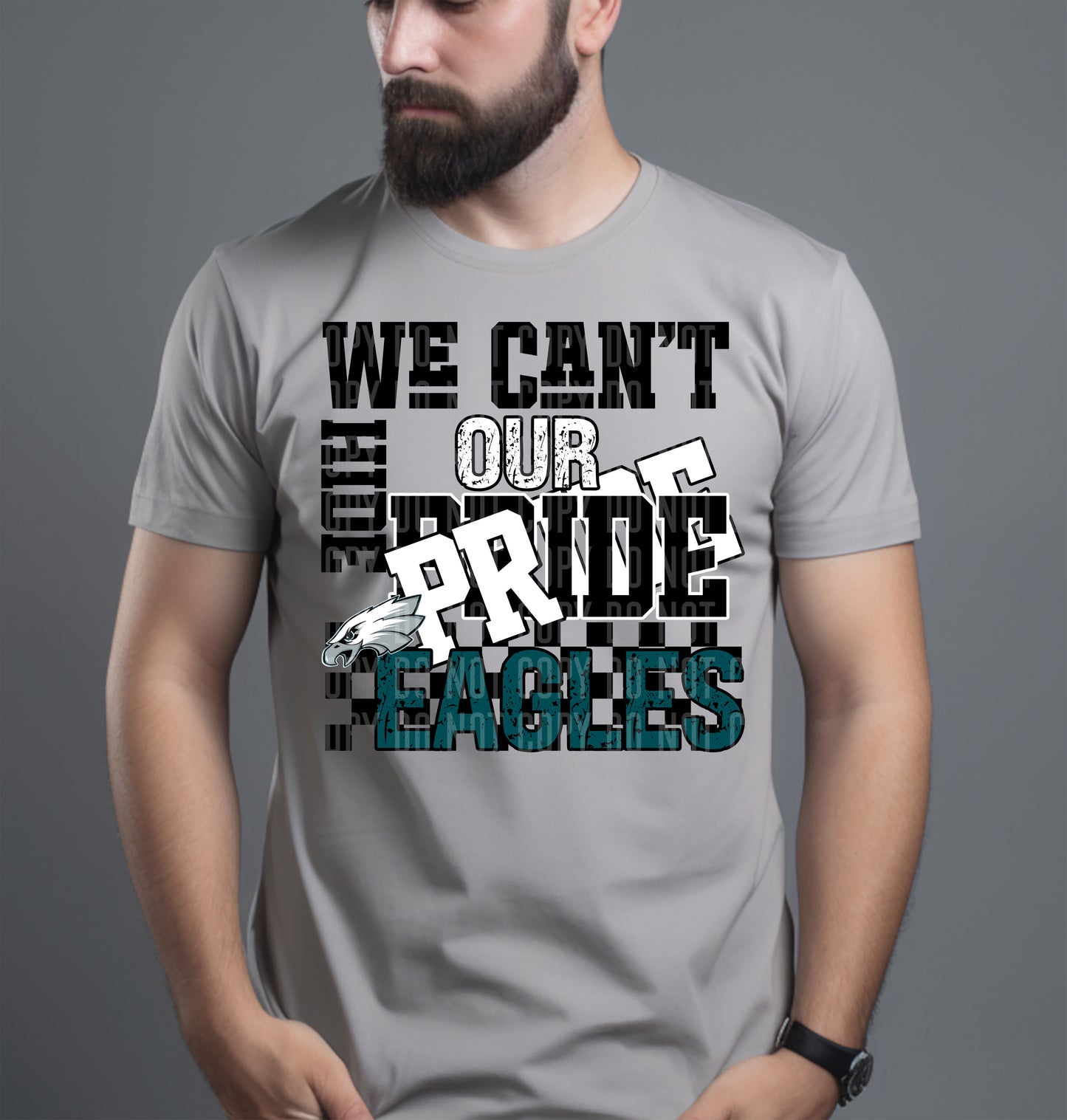 Pro Football Teams Can't Hide Our Pride (Choose Yours) 00283