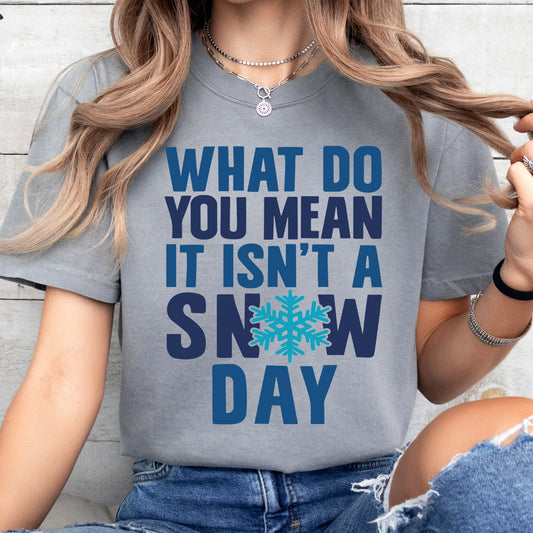 What Do You Mean It Isnt A Snow Day DTF Transfer 03710