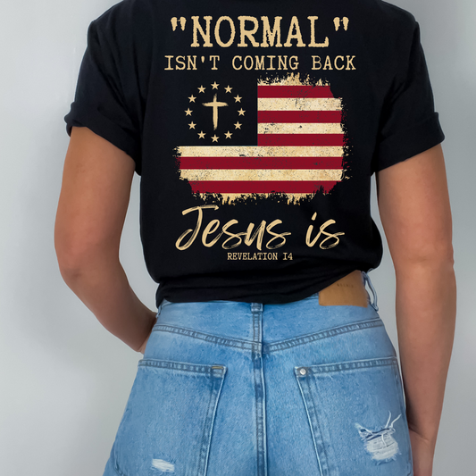 Normal Isn't Coming Back Jesus Is Flag with pocket DTF Transfer