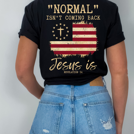 Normal Isn't Coming Back Jesus Is Flag with pocket DTF Transfer 06306