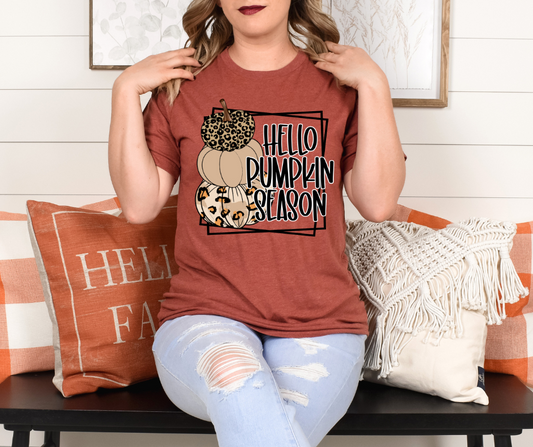 Hello Pumpkin Season DTF Transfer 06591